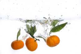 【合集】中藥基礎—柑橘全身都是寶