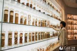 安徽：萬件標本“盛宴” 見證中藥歷史