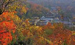 南京棲霞山，中國四大紅楓勝地之一，新金陵四十景之棲霞丹楓
