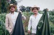 墨西哥兩位企業家發明了一種方法，將仙人掌轉化成素皮革，美翻了！