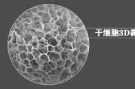 ​CMC開發：基於3D微載體的幹細胞規模化培養工藝