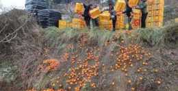 越南大批水果已成熟，期待中國加大進口，卻頻頻遭受“碰壁”