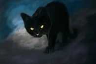 黑貓到底是招邪，還是招財？