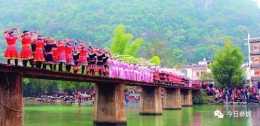 瑤族文化在廣西恭城熠熠生輝：展多彩瑤族民俗，造億元油茶產業