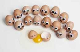 蛋黃蛋清誰的營養價值高？