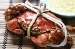 大閘蟹好吃，但你吃對了嗎？高逼格又實用的吃蟹方法，不看太虧了！
