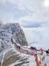 冬天坐纜車上華山喝杯涇陽茯茶再賞個雪景 好愜意…