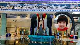 週末度假，享受珠海長隆企鵝酒店的奢寵時光