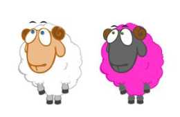 春季如何管理羊