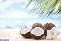 月產椰子200萬顆，去泰國旅遊，喜歡吃的就去蘇梅島