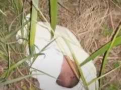 株洲一男嬰被棄草叢警方正為其尋親 醫生：孩子生命力頑強 哭聲洪亮力氣大