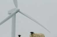 文山州有2個！雲南將建設一批風電場專案！