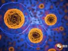 華大吉諾因“靶向新生抗原自體免疫T細胞注射液”獲批臨床