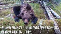 俄羅斯熊傷人致一16歲少年死亡 救援人員追蹤數小時將熊擊斃