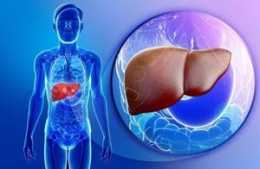 從中醫理論分析一 脂肪肝對脾的影響「三奇堂脂肪肝課堂」