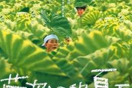 北野武的半自傳電影《菊次郎的夏天》，在夏日中體會對母愛的追憶
