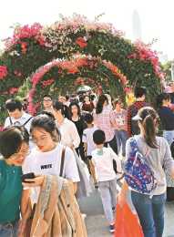 “市花”魅力迷人，簕杜鵑花展開幕3天迎33萬遊客