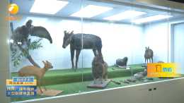 陝西太白山紅河谷動植物展覽館免費開放 500多種動植物標本展示秦嶺魅力