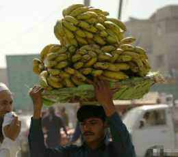 巴基斯坦賣不掉的水果，中國人引進變“搖錢樹”，網友：真聰明！