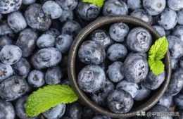 墨西哥、加拿大藍莓進口到中國，清關流程及所需的單證資料
