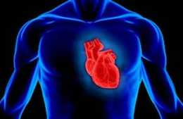 生命在於靜止還是在於運動？心臟病患者如何取捨？聽專家說！