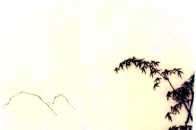【雅德馨香】中國山水畫的天人合一，這些畫的畫，你看過幾幅？
