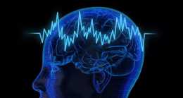 記憶與遺忘能夠人為控制？最新研究顯示：在睡眠中控制特定的腦電波或許可以打破學習或遺忘新技能之間的平衡。