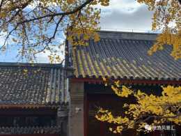 北京懷柔紅螺寺秋季美景，太吸引眼球了！