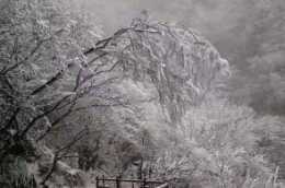 如畫郴州｜冬日莽山，一幅絕美的山水畫